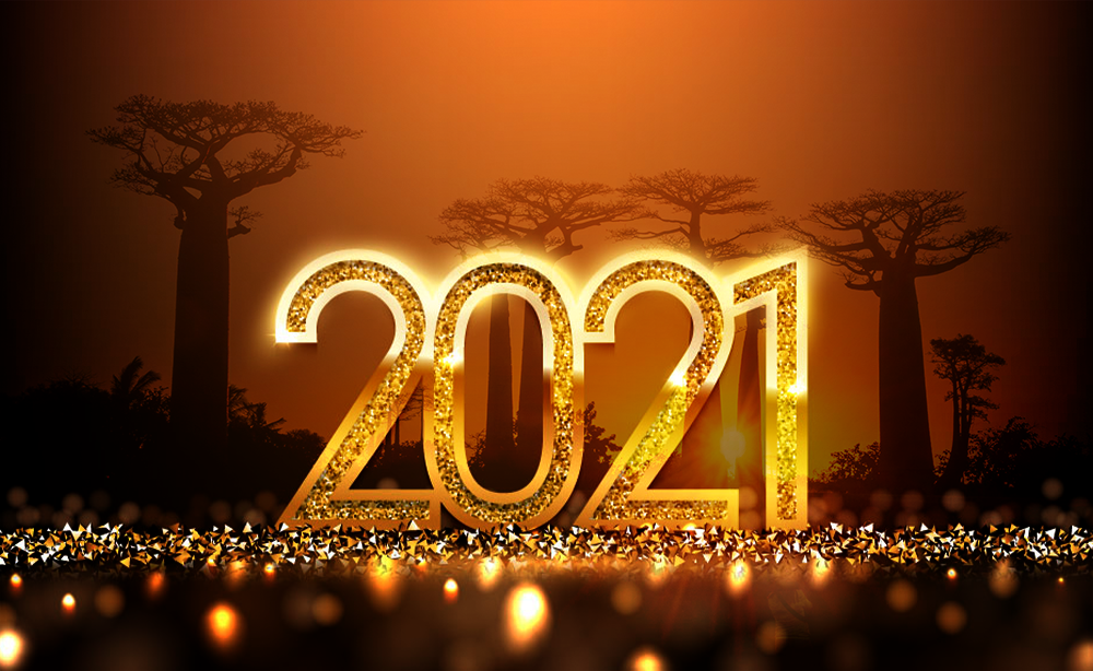 Bureau des Normes de Madagascar : 2021 en bref